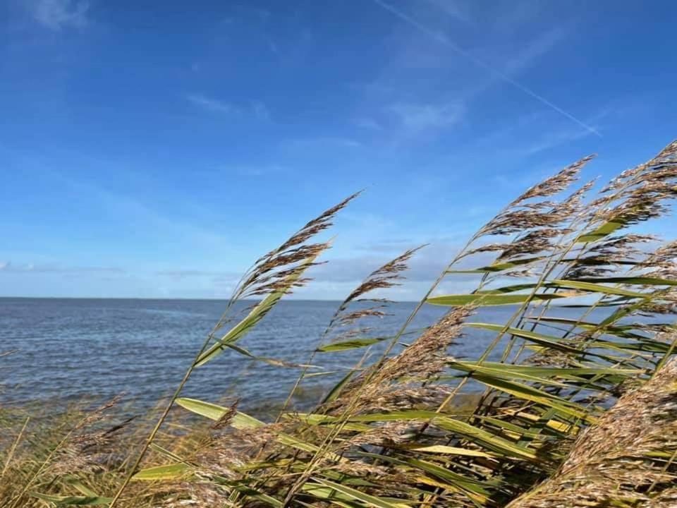 Haus Im Wiesengrund Esens Bagian luar foto